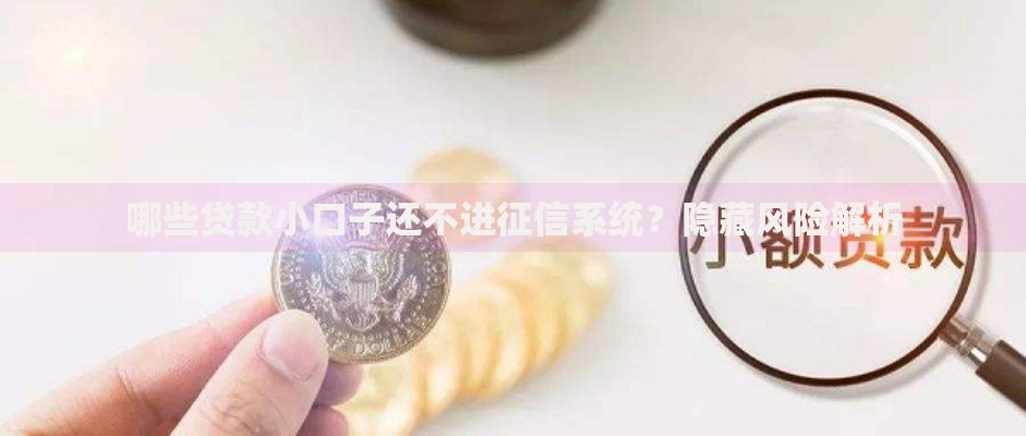 哪些贷款小口子还不进征信系统？隐藏风险解析