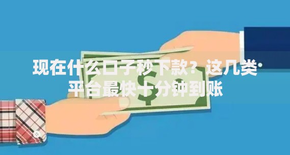 现在什么口子秒下款？这几类平台最快十分钟到账