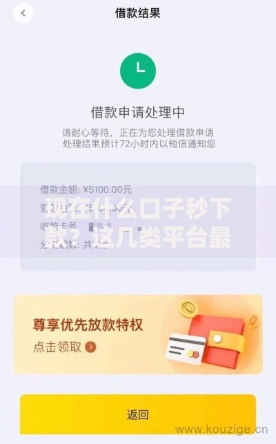 现在什么口子秒下款？这几类平台最快十分钟到账
