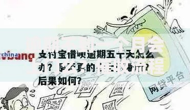 逾期不到一个月会上门么？催收流程与应对策略解析