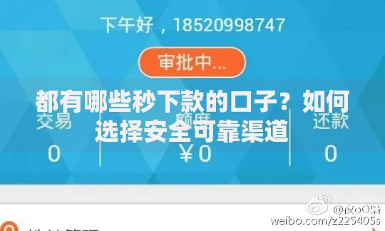 都有哪些秒下款的口子？如何选择安全可靠渠道