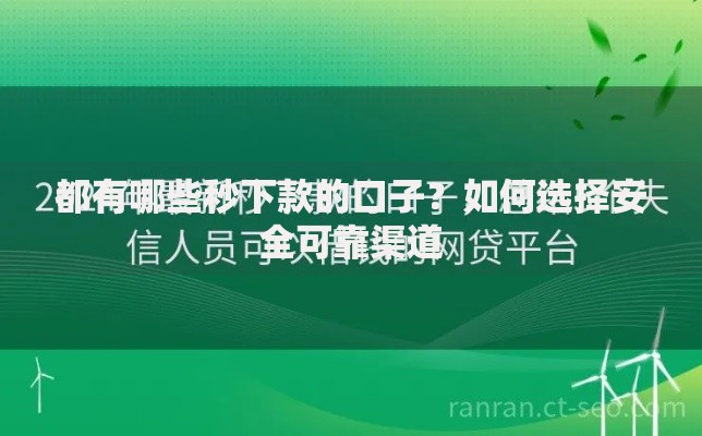 都有哪些秒下款的口子？如何选择安全可靠渠道
