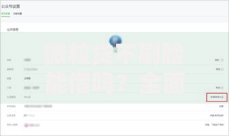 微粒贷不刷脸能借吗？全面解析验证流程与替代方案