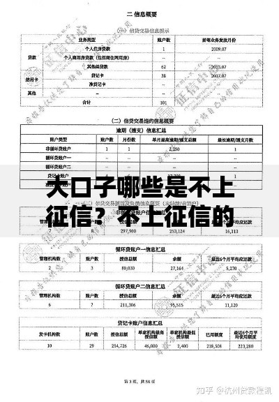 大口子哪些是不上征信?不上征信的贷款渠道解析 大口子哪些是不上征信?不上征信的贷款渠道解析