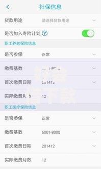 好会借下款如何快速通过审核？解析高效借款技巧