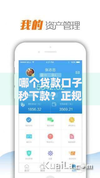 哪个贷款口子秒下款？正规平台快速到账攻略解析