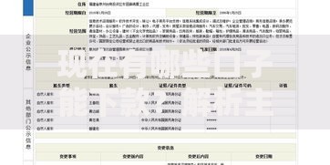 现在有哪些口子能下款？解析主流渠道与申请技巧