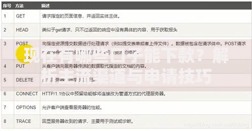现在有哪些口子能下款？解析主流渠道与申请技巧