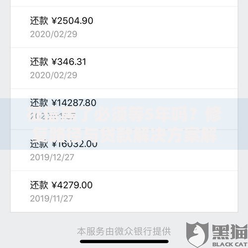 征信黑了必须等5年吗？修复路径与贷款解决方案解析
