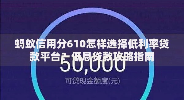 蚂蚁信用分610怎样选择低利率贷款平台？低息贷款攻略指南