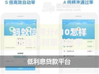 蚂蚁信用分610怎样选择低利率贷款平台？低息贷款攻略指南