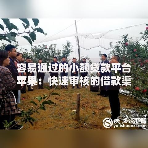 容易通过的小额贷款平台苹果：快速审核的借款渠道推荐