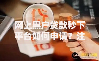 网上黑户贷款秒下平台如何申请？注意事项与风险解析