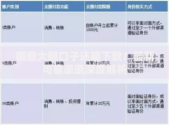 哪些大额口子还能下款？最新可靠渠道深度解析
