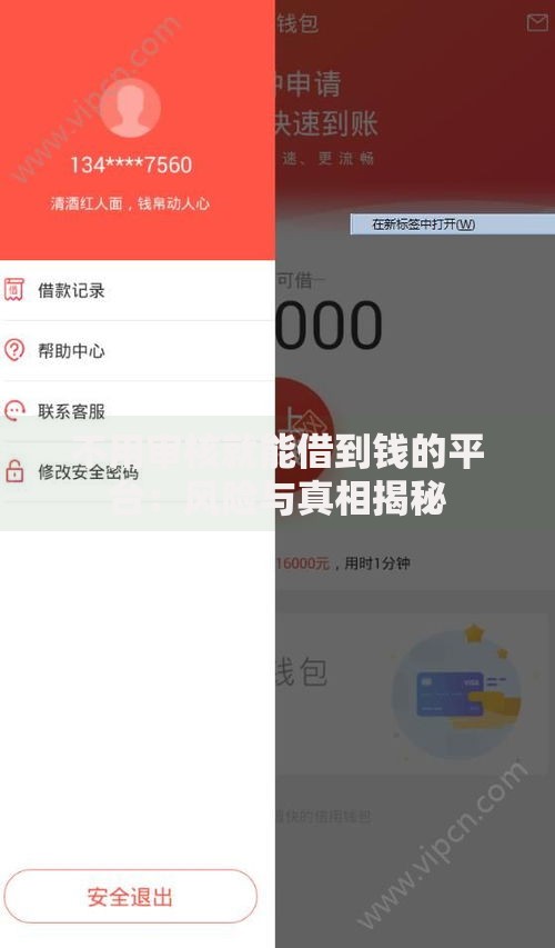 不用审核就能借到钱的平台：风险与真相揭秘