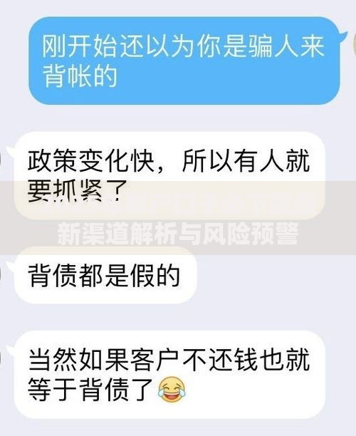 2025年黑户口子必下款最新渠道解析与风险预警