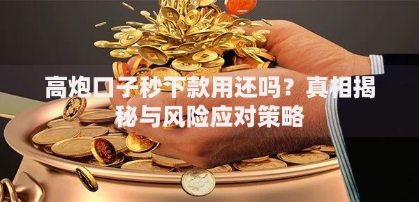 高炮口子秒下款用还吗？真相揭秘与风险应对策略