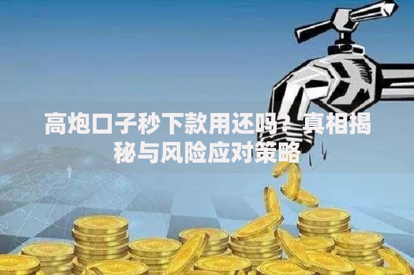 高炮口子秒下款用还吗？真相揭秘与风险应对策略