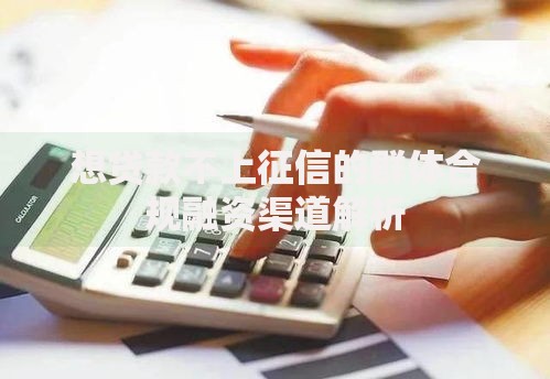 想贷款不上征信的群体合规融资渠道解析