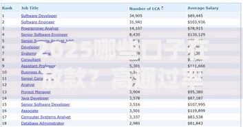 2025哪些口子在放款？高通过率渠道全解析