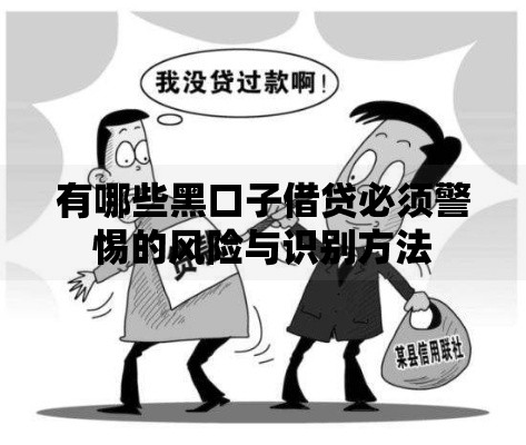 有哪些黑口子借贷必须警惕的风险与识别方法
