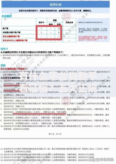 有什么平台贷款不看征信？五大正规渠道深度解析