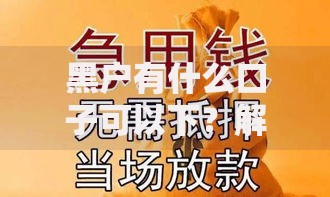 黑户有什么口子可以下？解析贷款渠道与申请策略