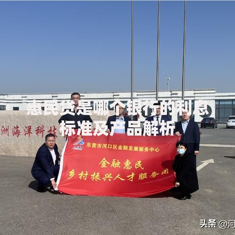 惠民贷是哪个银行的利息标准及产品解析