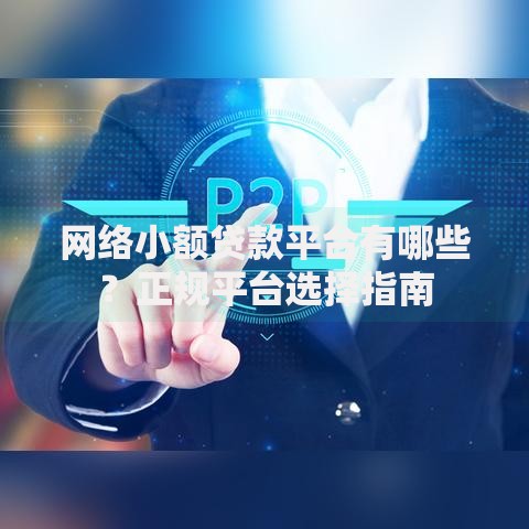 网络小额贷款平台有哪些？正规平台选择指南