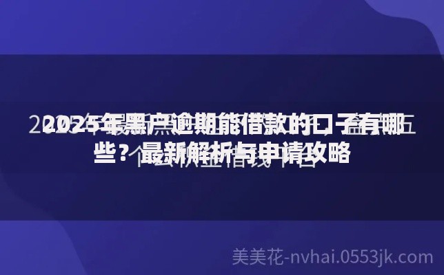 2025年黑户逾期能借款的口子有哪些？最新解析与申请攻略