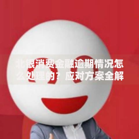 北银消费金融逾期情况怎么处理的？应对方案全解析