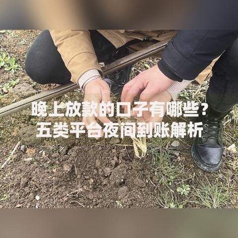晚上放款的口子有哪些？五类平台夜间到账解析