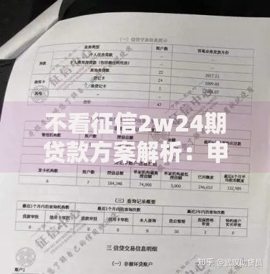 不看征信2w24期贷款方案解析：申请条件与风险防范指南
