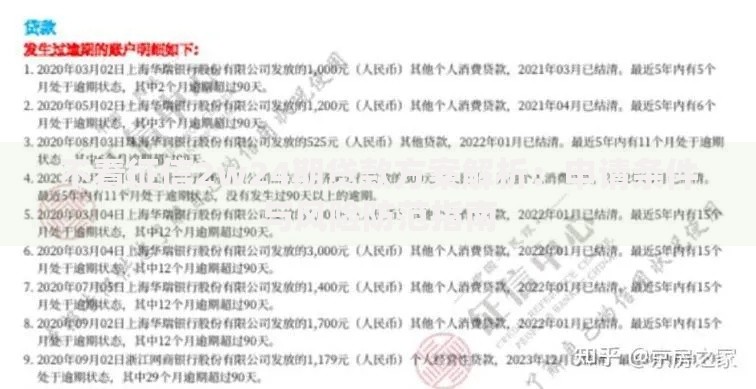 不看征信2w24期贷款方案解析：申请条件与风险防范指南