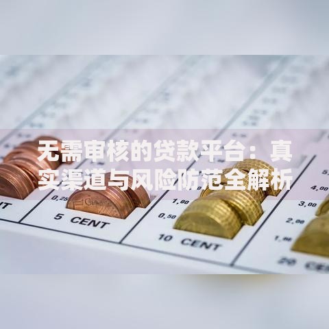 无需审核的贷款平台：真实渠道与风险防范全解析