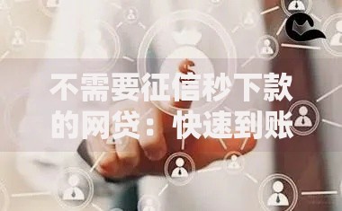 不需要征信秒下款的网贷：快速到账的借款渠道解析