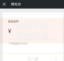 微信可以借款吗借几百？微信小额借款渠道与流程全解析
