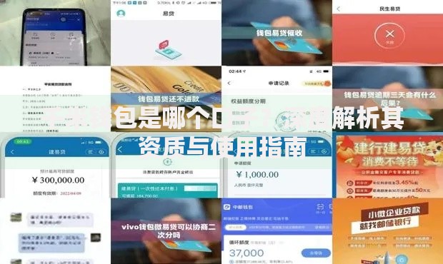 千米钱包是哪个口子？深度解析其资质与使用指南