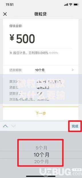 微粒贷借款为什么要输密码？全面解析密码验证必要性
