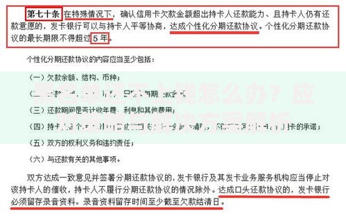 黑名单还不上钱怎么办？应对策略与解决方案解析