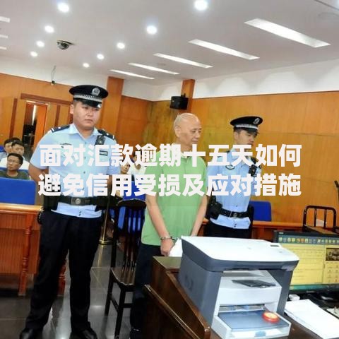 面对汇款逾期十五天如何避免信用受损及应对措施 面对汇款逾期十五天如何避免信用受损及应对措施