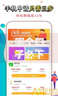 哪个口子必下款？深度解析高通过率贷款渠道