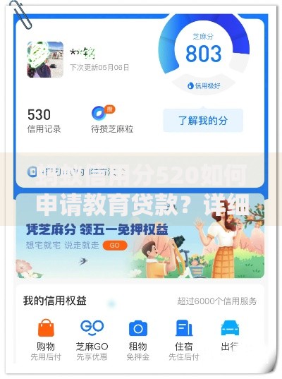 蚂蚁信用分520如何申请教育贷款？详细流程与条件解析