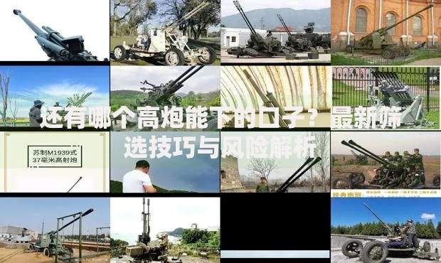 还有哪个高炮能下的口子？最新筛选技巧与风险解析