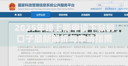 2025年晚上能申请下款的口子最新解析与申请指南