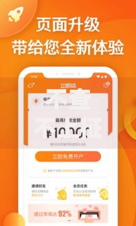 不查不上征信网黑花口子：合法贷款渠道还是高风险陷阱？