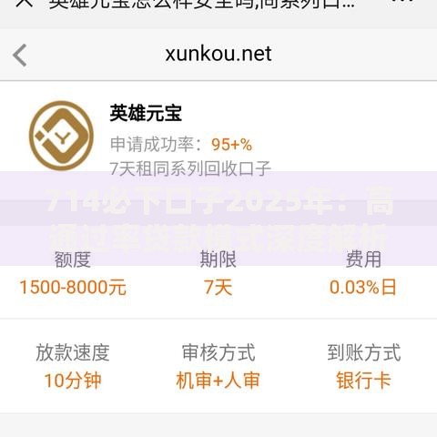 714必下口子2025年：高通过率贷款模式深度解析