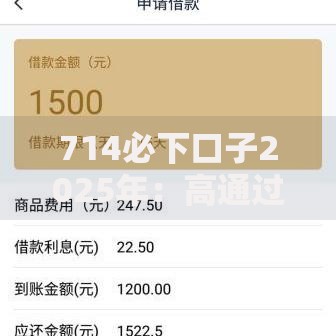 714必下口子2025年：高通过率贷款模式深度解析