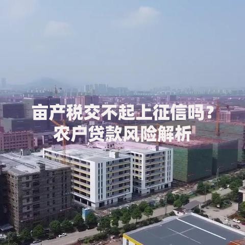 亩产税交不起上征信吗？农户贷款风险解析