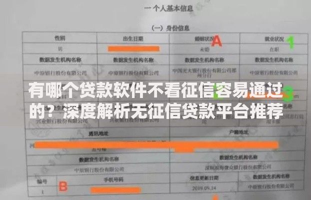 有哪个贷款软件不看征信容易通过的？深度解析无征信贷款平台推荐